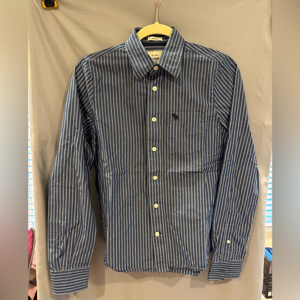 Abercrombie & Fitch Navy Striped Button Down Shirt